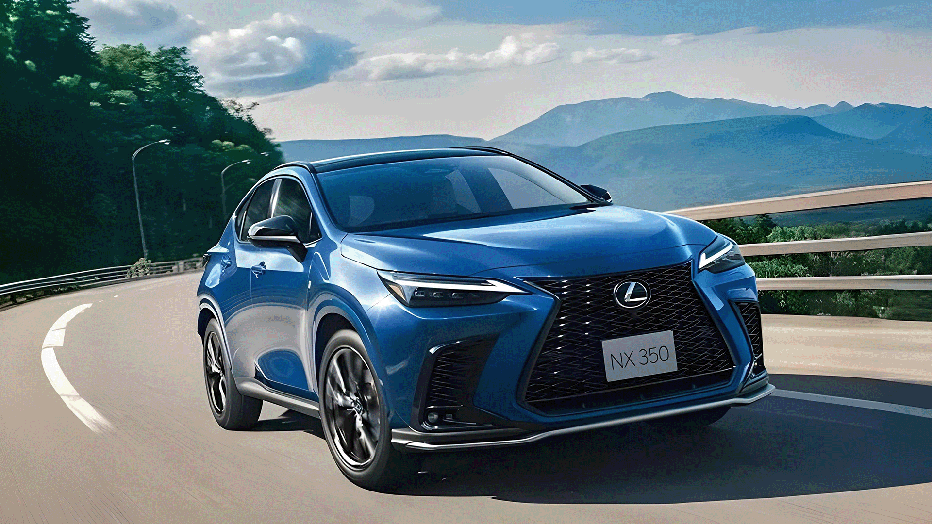NX 350